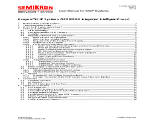 SKIIP SYSTEMS (USER MANUAL).pdf