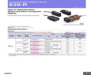 E3S-R11.pdf