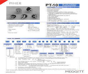 PT10LV10102A2020S.pdf