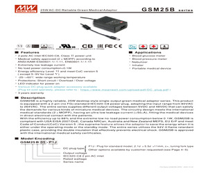 GSM25B05-P1J.pdf