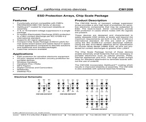 CM1206-04CP.pdf