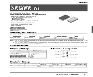 2SMES-01.pdf