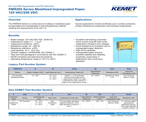 P405QE104M125AH101.pdf