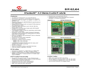 BM62SPKS1MC2-0001AA.pdf