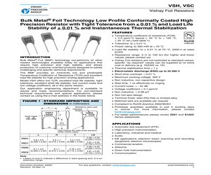 VSC19R0900FB.pdf