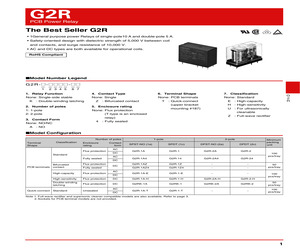 G2R-1 AC100/(110).pdf