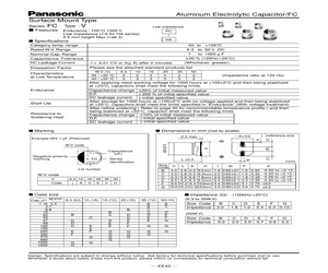 EEVFC1V100R.pdf