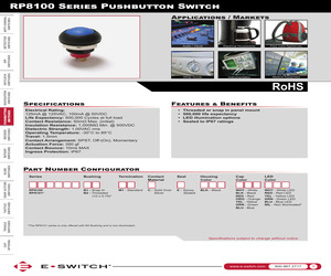 RP8100B2M1CEBLKBLKNIL-PS.pdf