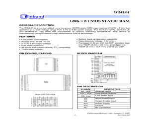 W24L01B-55LE.pdf