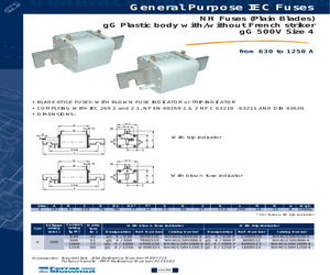 NH4GG50V1250-4.pdf