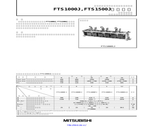 FTS1000CJ.pdf