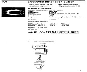 10700075.pdf