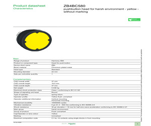 ZB4BC580.pdf