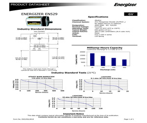 EN529.pdf