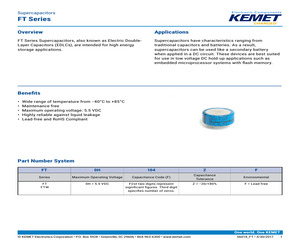 FT0H104ZF.pdf