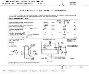 BSR16.pdf