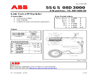 5SGS08D3000.pdf