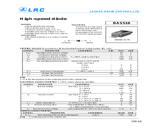 BAS516.pdf