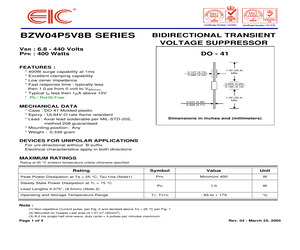 BZW04-13B.pdf