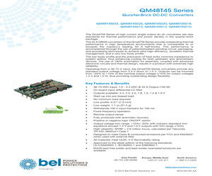 QM48T45025-NDA0G.pdf