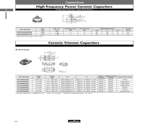 TZB4Z060BB10A00.pdf