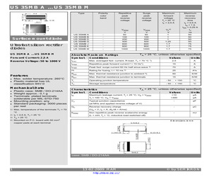 US3SMBG.pdf