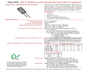 SEK100M100ST.pdf