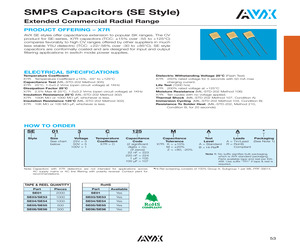 SE031C205KAR.pdf