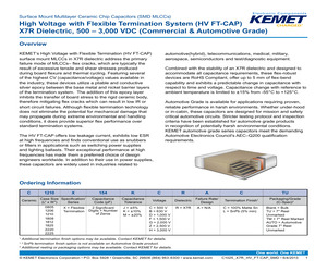 C2220X202JBRACTM.pdf