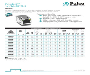 J1006F21NL.pdf