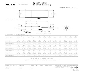 202K174-25-01-0.pdf