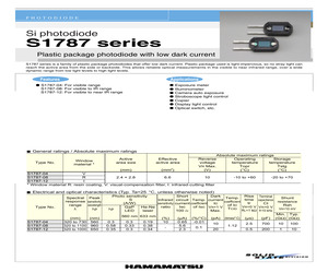 S1787-04.pdf