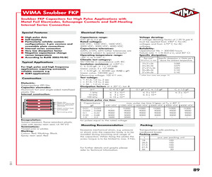 SNFPO13100SGB8JS00.pdf