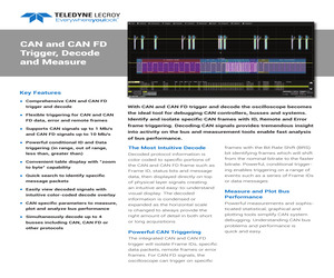 WSXS-CAN FDBUS TD.pdf