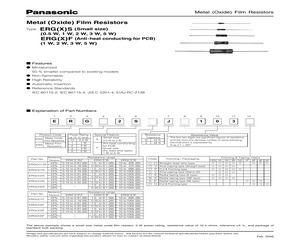 ERG3SJ100V.pdf