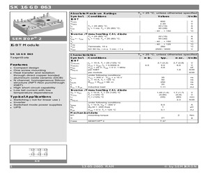 SK16GD063.pdf