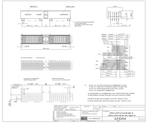 223254.pdf