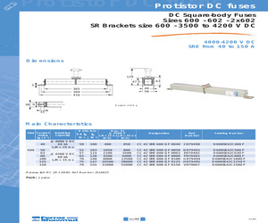 D600SE42C100QF.pdf