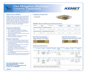 C1210F155K1RACTM.pdf