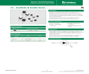 SK006RS256.pdf