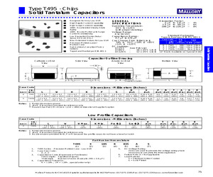 T495X476K020AG.pdf