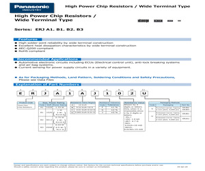 ERJB2BFR91V.pdf