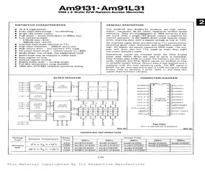 AM9131ADM.pdf