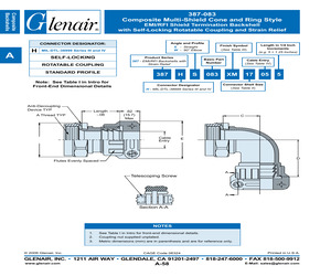 387FW083XW0804.pdf