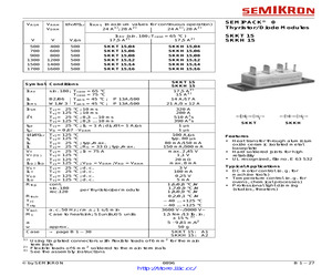 SKKH15/06E.pdf