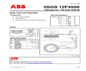 5SGS12F4000.pdf