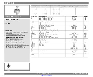 SKT40/06D.pdf