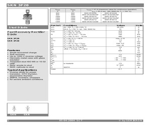 SKR3F20.pdf