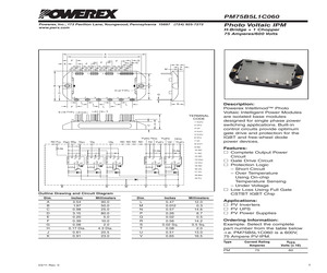 PM75B5L1C060.pdf