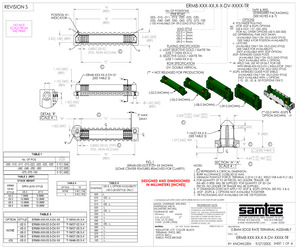 ERM8-020-02.0-S-DV.pdf